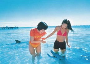 Banjup WA Darwin Holiday