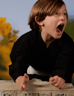 Turner Galleries - Darwin Holiday 3