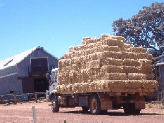 Avondale Discovery Farm - thumb 1