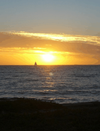 Kidogo Arthouse - Darwin Holiday 1