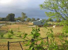 The House Of Honey - Darwin Holiday 2