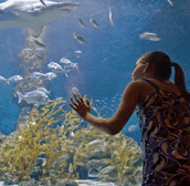 The Aquarium of Western Australia - Darwin Holiday
