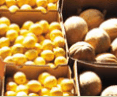 Brisbane Markets - Darwin Holiday
