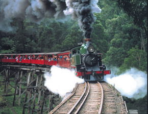 Puffing Billy - Darwin Holiday 1
