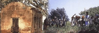 St Helena Island - Darwin Holiday 1