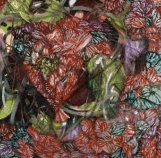 Jan Murphy Gallery - Darwin Holiday 3