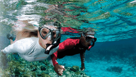 Snorkel Safari Brisbane - Darwin Holiday 1