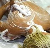 Exotique Massage - Darwin Holiday