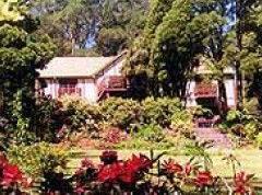  Darwin Holiday