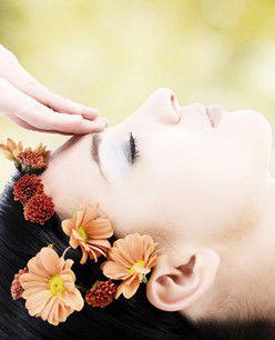 Retreat In The Suburbs - Darwin Holiday 2