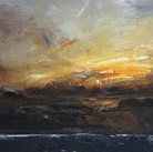 Dark Horse Experiment - Darwin Holiday 3