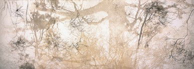 Dianne Tanzer Gallery & Projects - Darwin Holiday 3