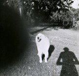 Fehily Contemporary - Darwin Holiday 2