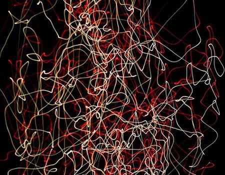 Eleven40 Gallery - Darwin Holiday 1