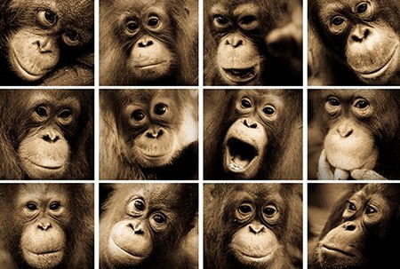 Eleven40 Gallery - Darwin Holiday 3