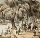 Joshua McClelland Print Room - Darwin Holiday