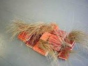 Brunswick Arts - Darwin Holiday 2