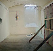 Bus Projects - Darwin Holiday