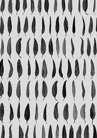 Carbon Black Gallery - Darwin Holiday 1