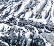 Catherine Asquith Gallery - Darwin Holiday 0