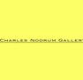 Charles Nodrum Gallery - Darwin Holiday