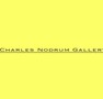 Charles Nodrum Gallery - Darwin Holiday 0