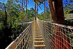 Book North Tamborine QLD Attractions Darwin Holiday Darwin Holiday