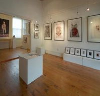 Bird's Gallery - Darwin Holiday