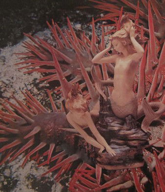 Bower Gallery - Darwin Holiday 1