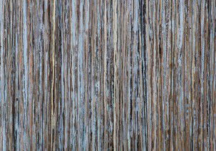 Bower Gallery - Darwin Holiday 2