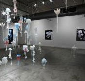 Nellie Castan Gallery - Darwin Holiday
