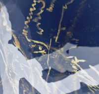 Warburton Lane Exhibits - Darwin Holiday