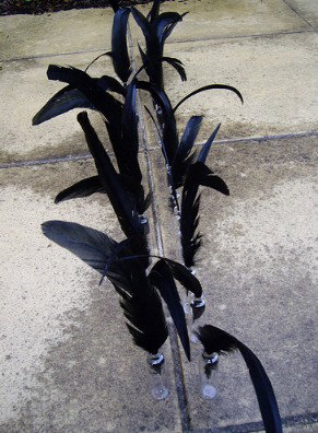 Town Hall Gallery - Darwin Holiday 2