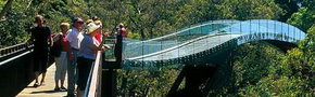Kings Park Botanic Gardens - Darwin Holiday 1