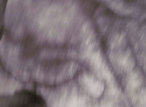 69 Smith Street - Darwin Holiday 1