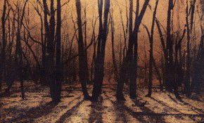 69 Smith Street - Darwin Holiday 2