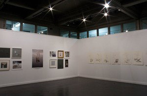 Pigment Gallery - Darwin Holiday 1