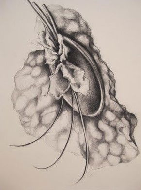 The Library Artspace - Darwin Holiday 1