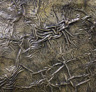 Hawthorn Studio  Gallery - Darwin Holiday