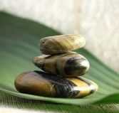 The Nature of Balance - Darwin Holiday