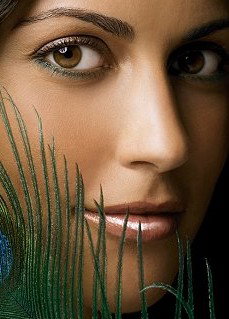 Self Centered Day Spa - Darwin Holiday 2