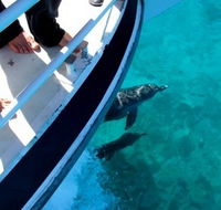 Pelican Charters - Darwin Holiday