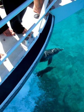 Pelican Charters - Darwin Holiday 0