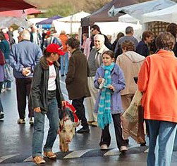 Arts Nunawading Inc - Darwin Holiday 0