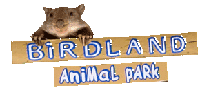 Runnyford NSW Darwin Holiday