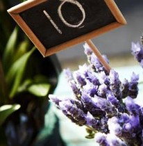 High Street Armadale - Darwin Holiday 1