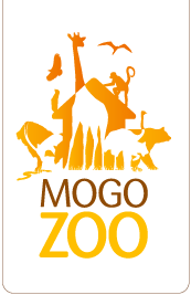 Mogo Zoo - Darwin Holiday