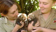 Mogo Zoo - Darwin Holiday 3