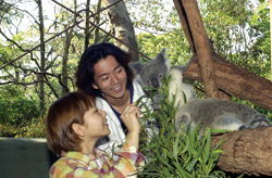 Taronga Zoo - Darwin Holiday 2