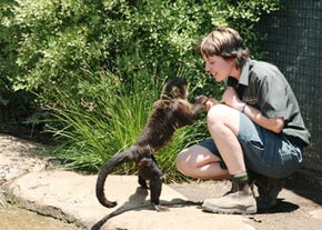 National Zoo & Aquarium - Darwin Holiday 1